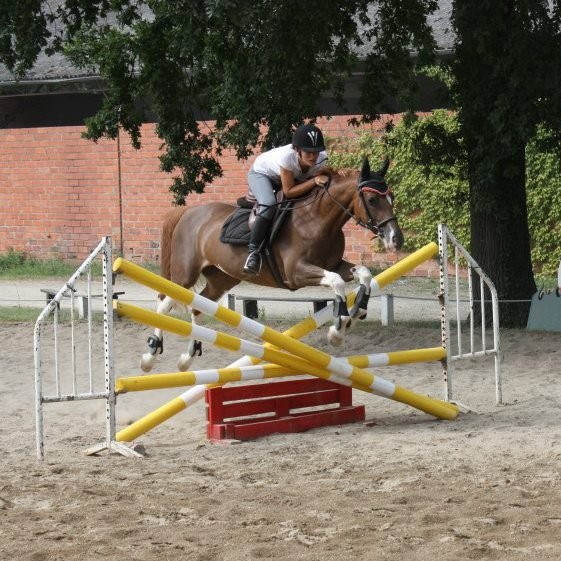 Photo de profil de kalounaebp31