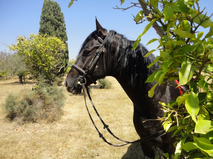 Photo de profil de gioia