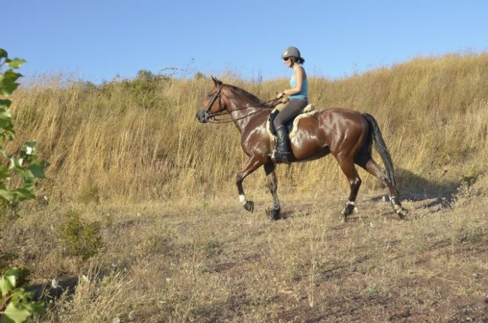 Photo de profil de vernoux123