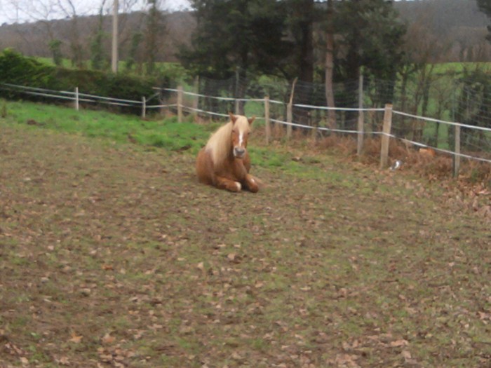 Photo de profil de lucyle22