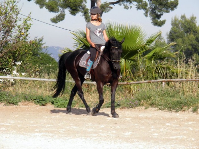 Photo de profil de sophie2403