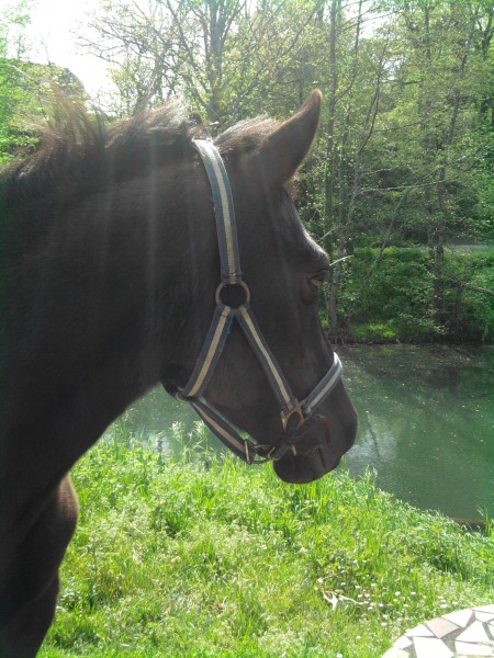 Photo de profil de kemundi