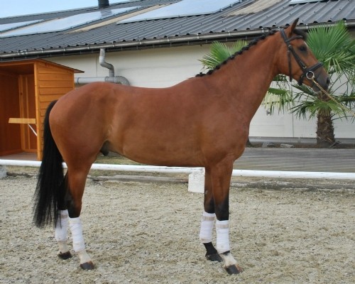 Photo de profil de patours