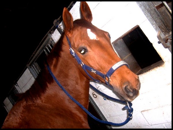 Photo de profil de jessouille18