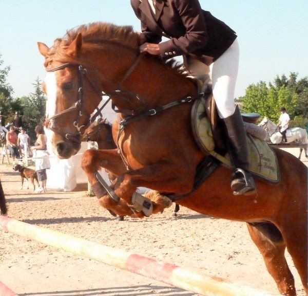 Photo de profil de marion000