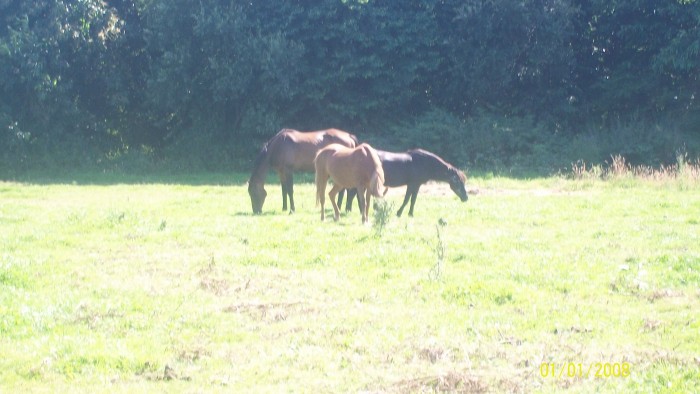 Photo de profil de topeka