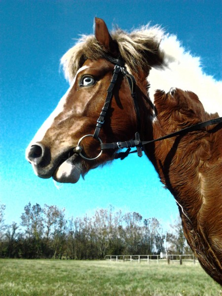 Photo de profil de manonsoleil