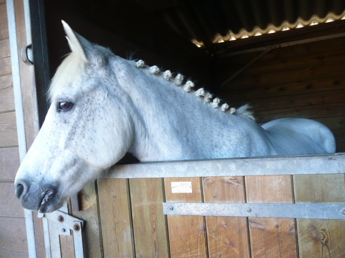 Photo de profil de rouleaudd