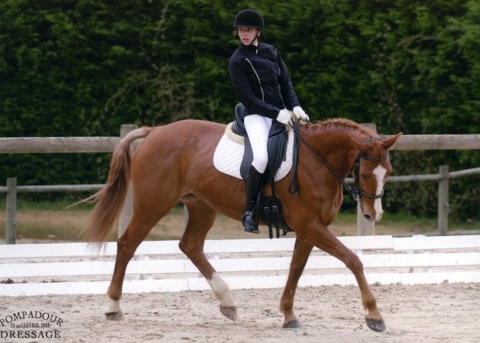 Photo de profil de bullock