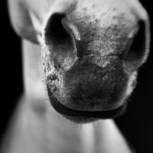 Photo de profil de milliedadou