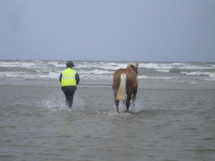Photo de profil de angenoir