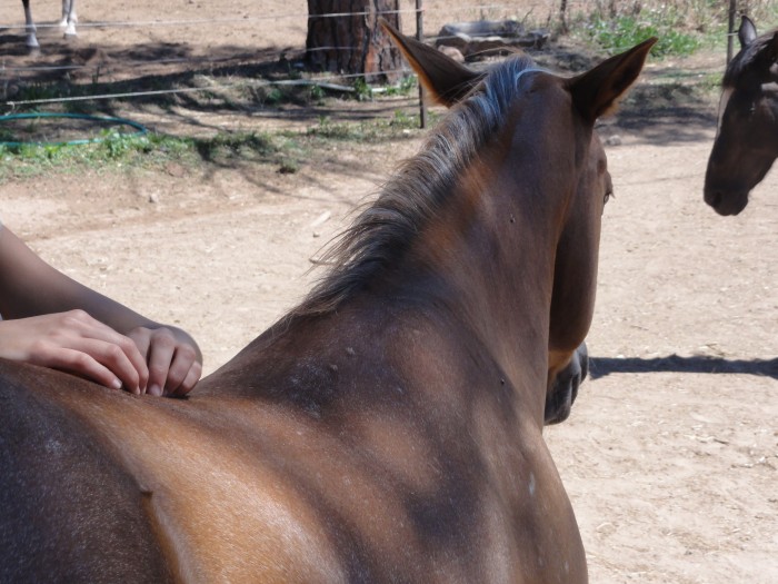 Photo de profil de edith.osteo