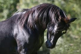 Photo de profil de demon22