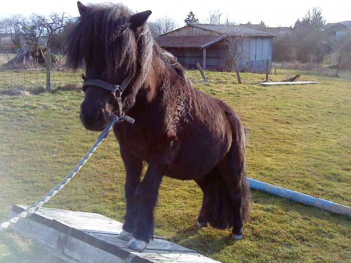 Photo de profil de taluri