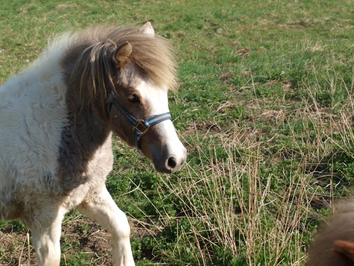 Photo de profil de isa70600
