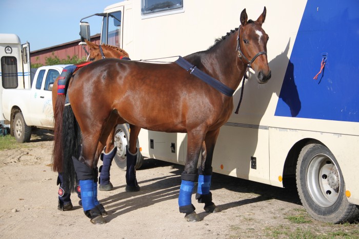 Photo de profil de kikou25