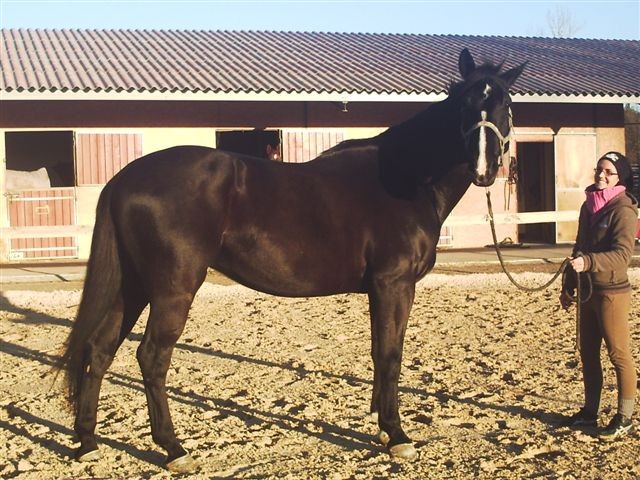 Photo de profil de vanessa07