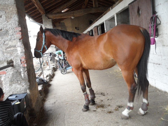 Photo de profil de choupy12