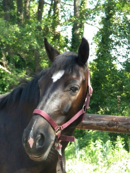 Photo de profil de mylovedemerode