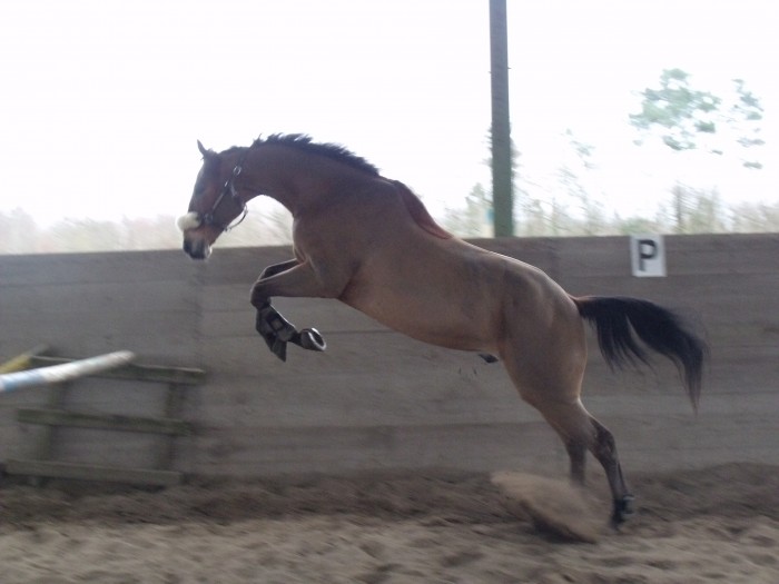 Photo de profil de marine94460