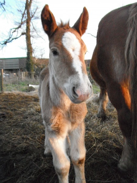 Photo de profil de amelie_melo4023