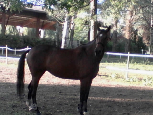 Photo de profil de prettycool