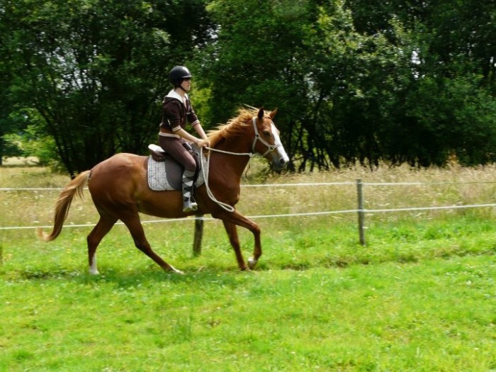 Photo de profil de lauriie49