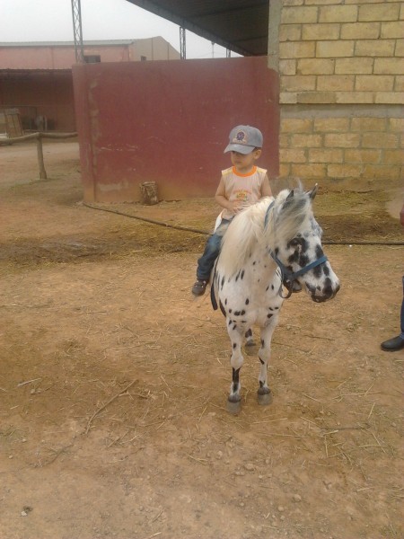 Photo de profil de joehakim