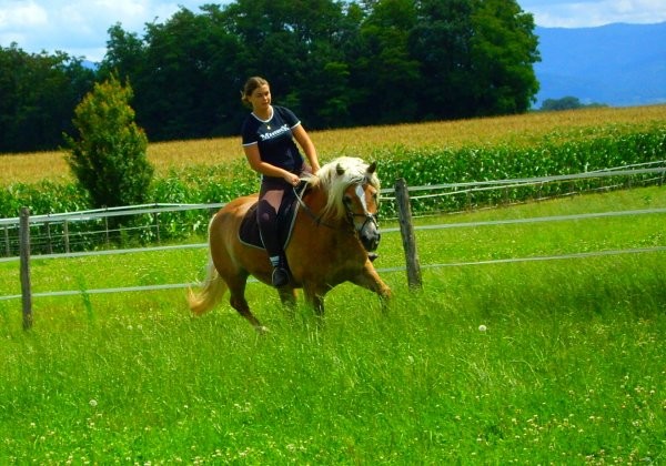 Photo de profil de drine68