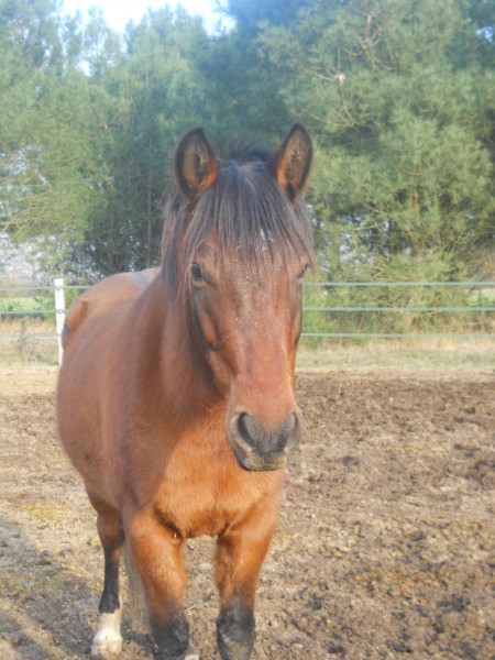 Photo de profil de poppit