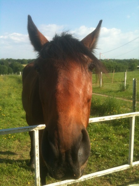 Photo de profil de marg.uao