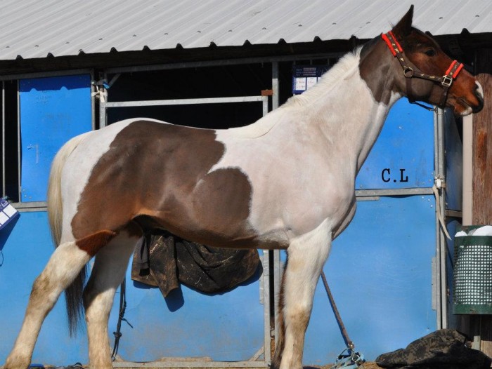 Photo de profil de sunnyvanille