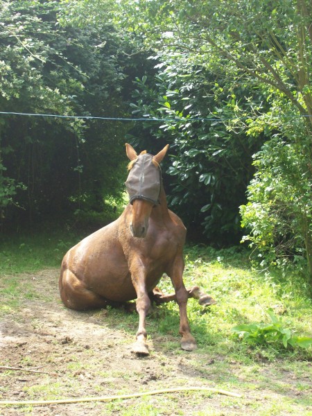 Photo de profil de caero