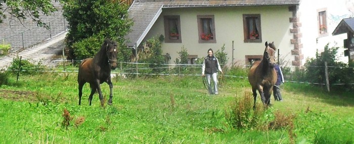 Photo de profil de suertevenusia