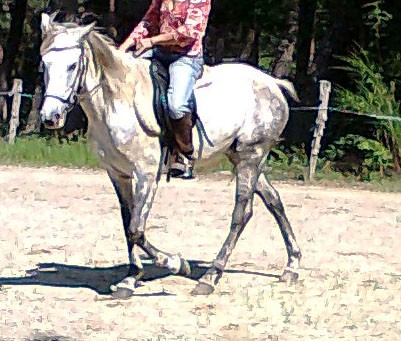 Photo de profil de kaori