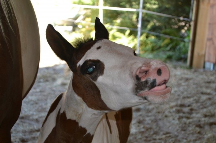 Photo de profil de lorena33