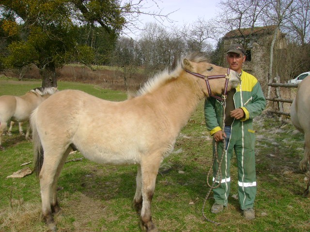 Photo de profil de thietry