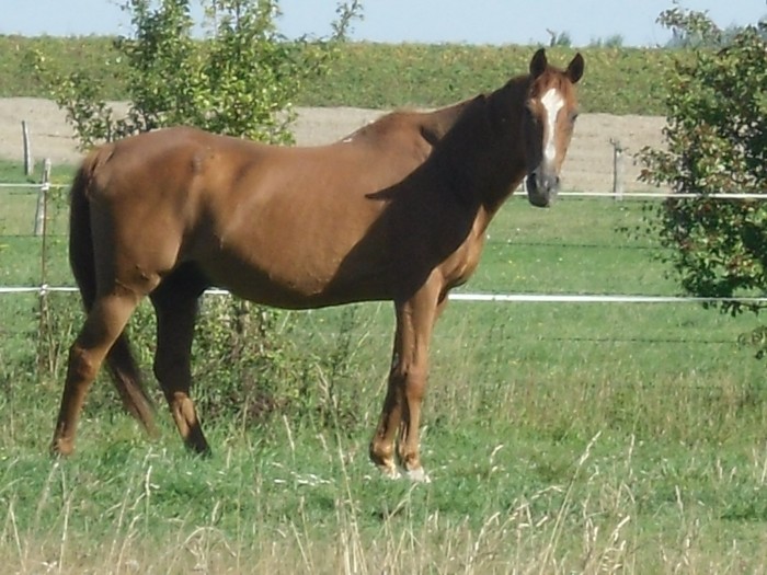 Photo de profil de rockfeller
