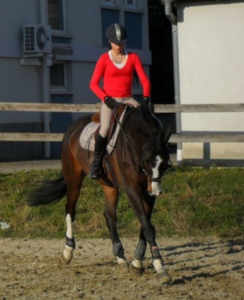 Photo de profil de pomme0