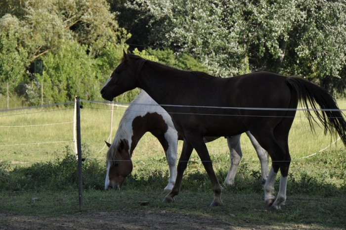 Photo de profil de mumu13