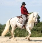 Photo de profil de lamarie