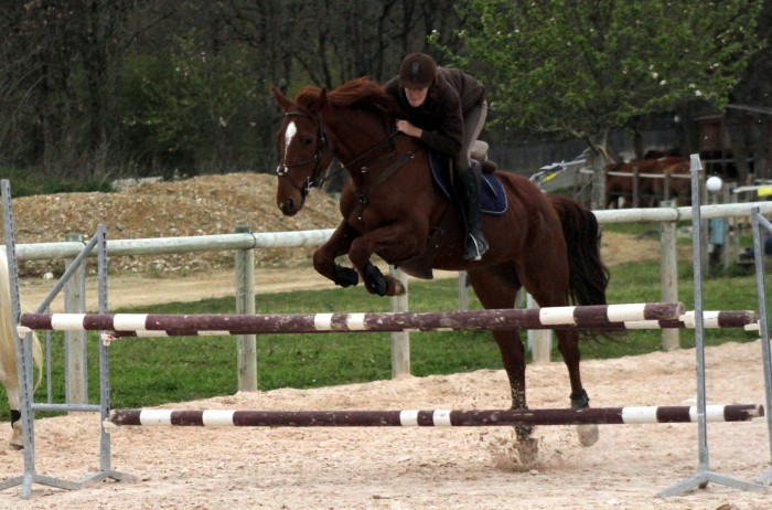 Photo de profil de xlola31