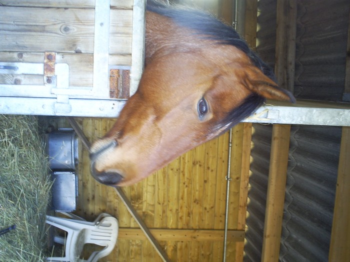 Photo de profil de nafea71