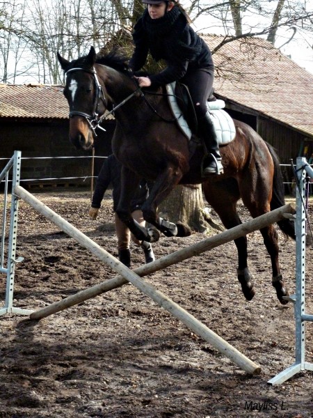 Photo de profil de lolohenry