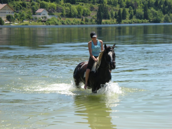 Photo de profil de samourai39