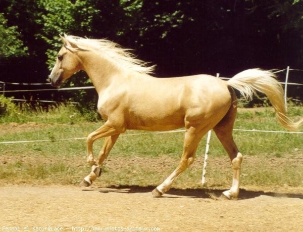 Photo de profil de angie05