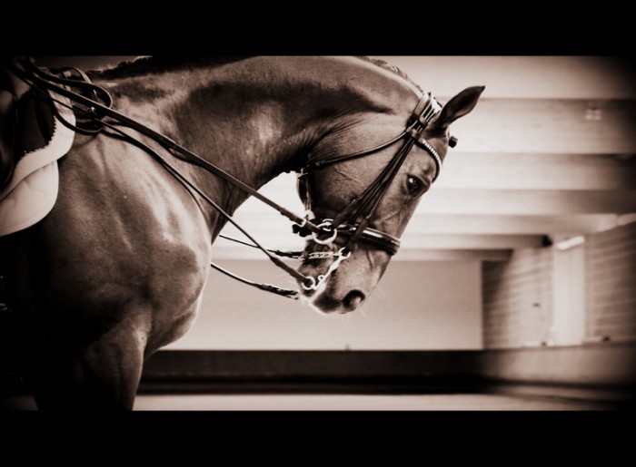 Photo de profil de quentin45