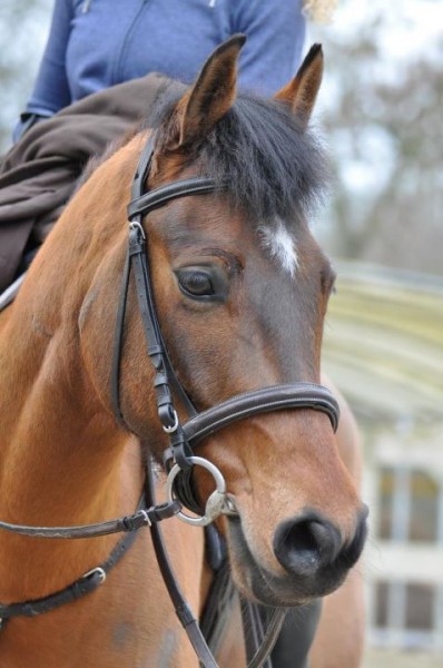 Photo de profil de quandor