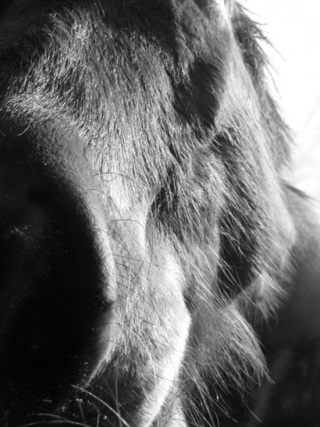 Photo de profil de eques