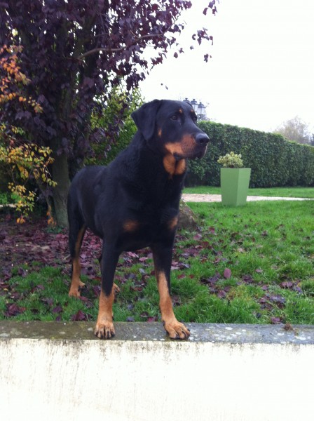 Photo de profil de cooper77